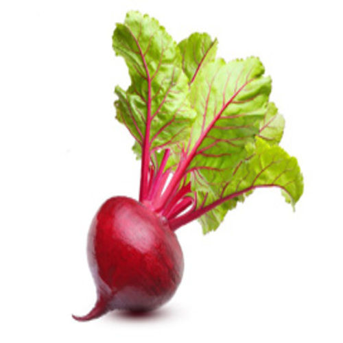 Healthy And Natural Organic Fresh Beetroot