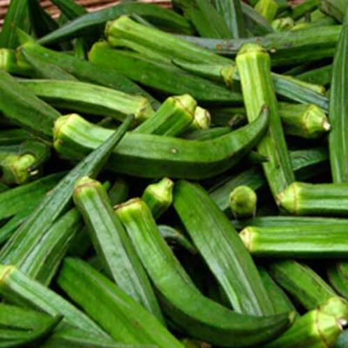  स्वस्थ और प्राकृतिक ताजा हरी लेडी फिंगर 
