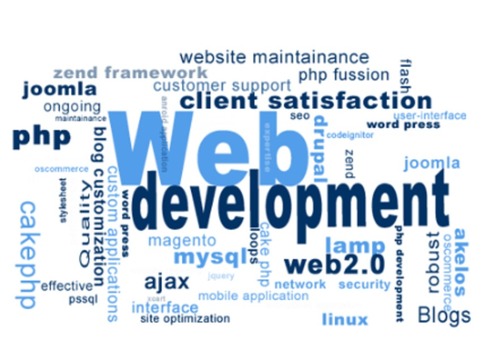 Custom Programmed Development Service