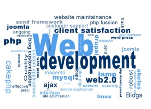 Custom Programmed Website Development Service