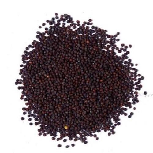 Healthy and Natural Black Mustard Seeds