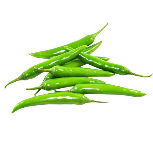 Healthy and Natural Fresh Green Chillies