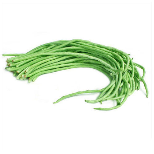 Healthy and Natural Fresh Green Long Beans