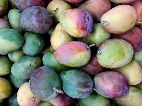 Healthy and Natural Fresh Hapus Mango