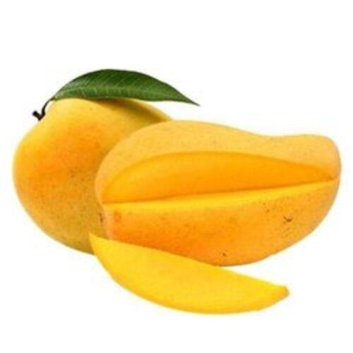 Healthy and Natural Fresh Palli Mango