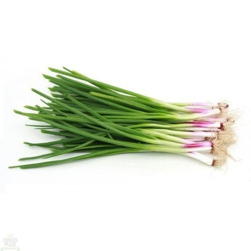 Healthy And Natural Fresh Spring Onion