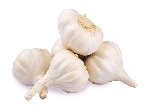 Healthy and Natural Fresh White Garlic