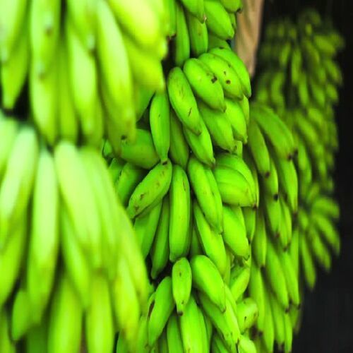 Healthy and Natural Fresh Green Banana