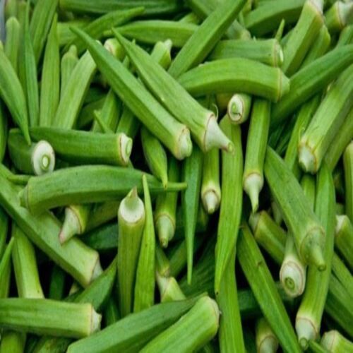 Healthy and Natural Fresh Green Okra