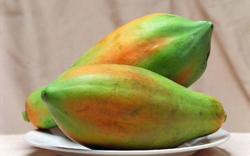 Healthy And Natural Organic Fresh Papaya Shelf Life: 1 Week