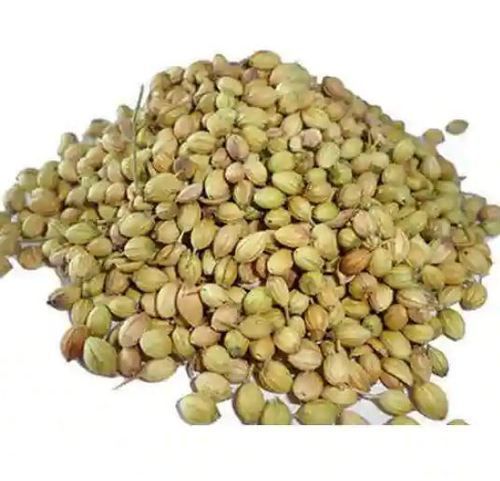 Dried Coriander Dhania Seed For Cooking