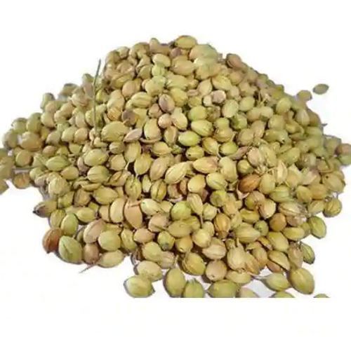 Brown Dried Coriander Dhania Seed For Cooking