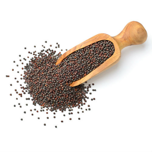 Black Healthy And Natural Dried Mustard Seeds