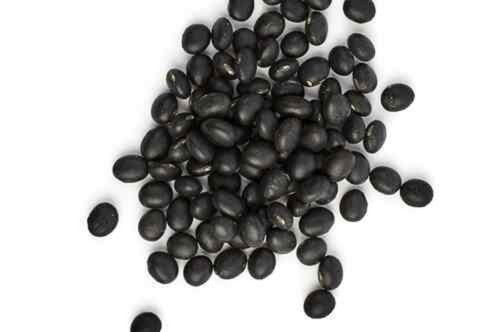 Organic Healthy Black Soybean Purity: 99.9%