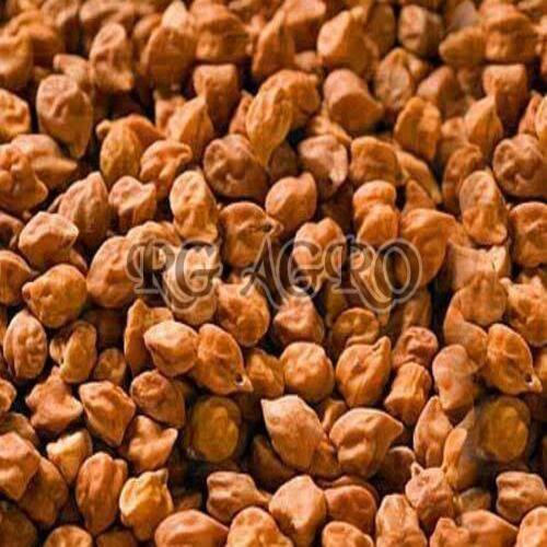 Healthy And Natural Desi Chana Grain Size: Standard