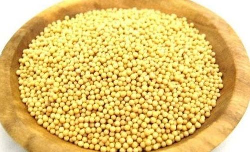 Organic Dried Yellow Mustard Seed