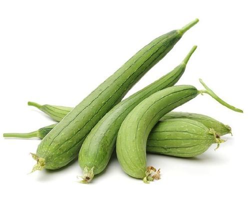 Healthy and Natural Fresh Sponge Gourd