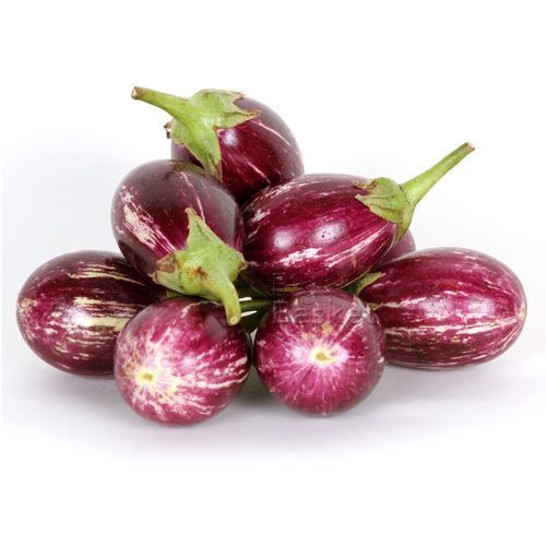 Healthy and Natural Organic Fresh Brinjal