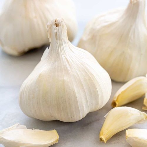 Healthy and Natural Organic Fresh Garlic