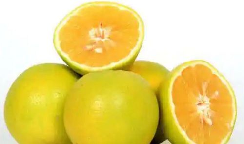 Organic Fresh Sweet Lime Fruit