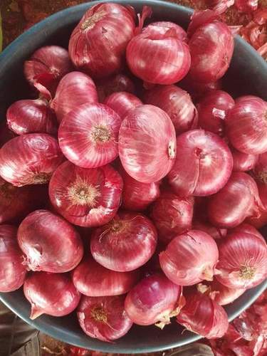 Fresh Red Raw Onion