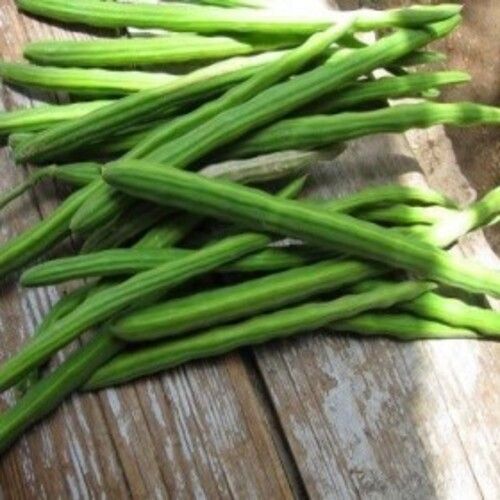 Healthy And Natural Fresh Green Drumsticks