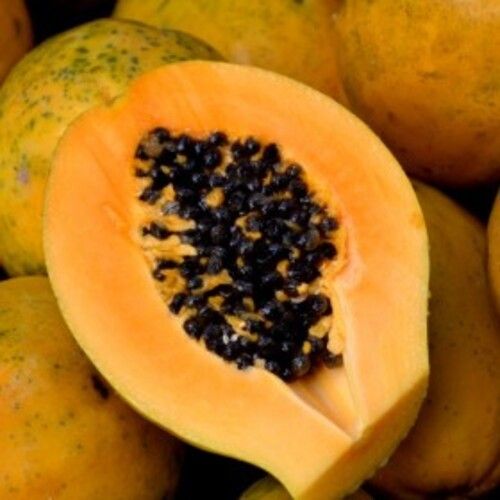 Healthy And Natural Organic Fresh Papaya