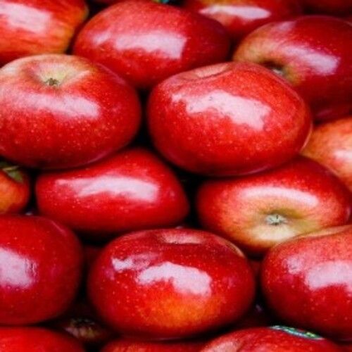 Healthy and Natural Organic Fresh Red Apple