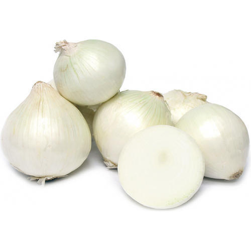 Healthy and Natural Organic Fresh White Onion