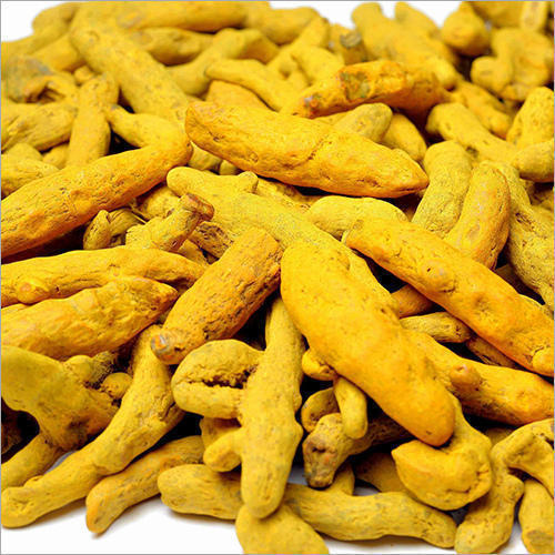 Healthy and Natural Dried Yellow Turmeric Finger