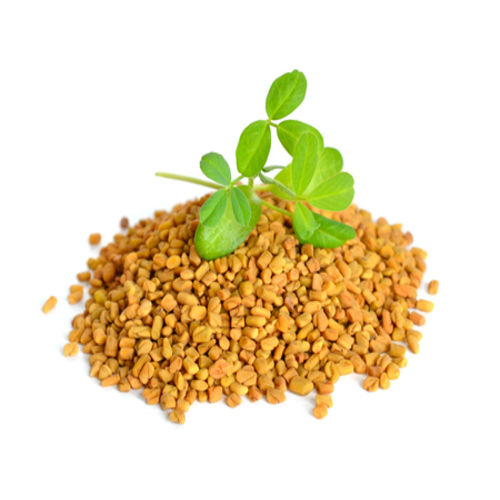 Healthy And Natural Organic Fenugreek Seeds Grade: Food Grade