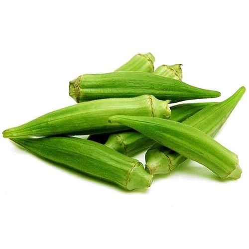 Healthy and Natural Organic Green Fresh Okra