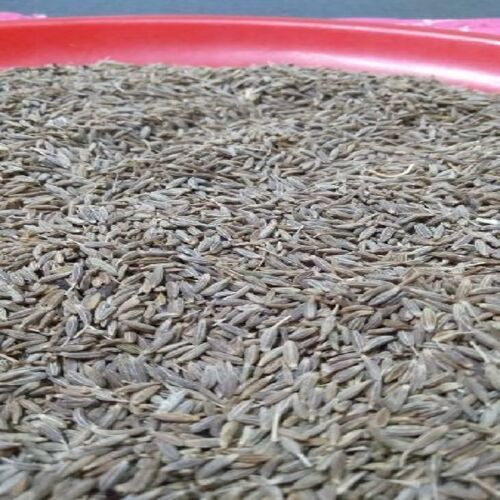 Healthy And Natural Organic Cumin Seeds Grade: Food Grade