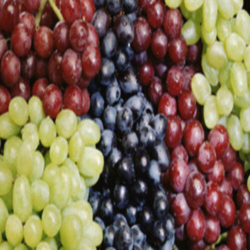 Healthy and Natural Organic Fresh Grapes