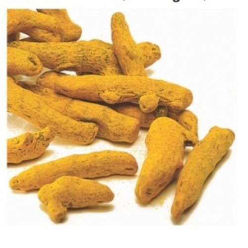 Healthy And Natural Organic Yellow Turmeric Finger Grade: Food Grade