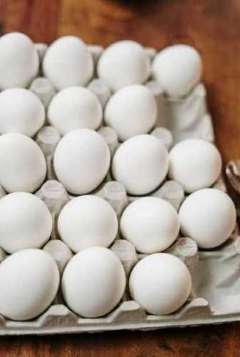 High Protein Fresh Eggs