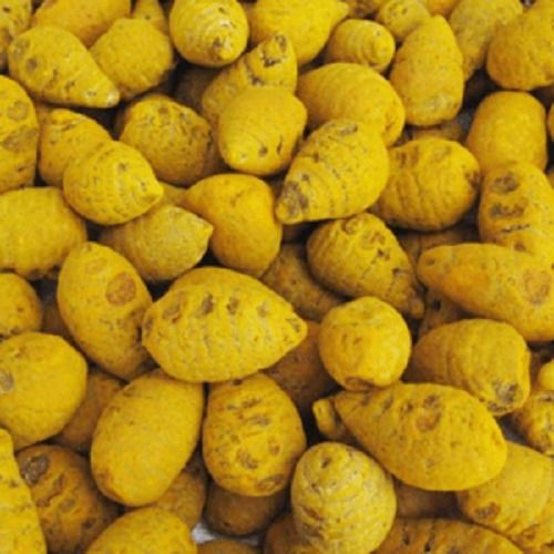 Yellow Dried Erode Turmeric Bulb