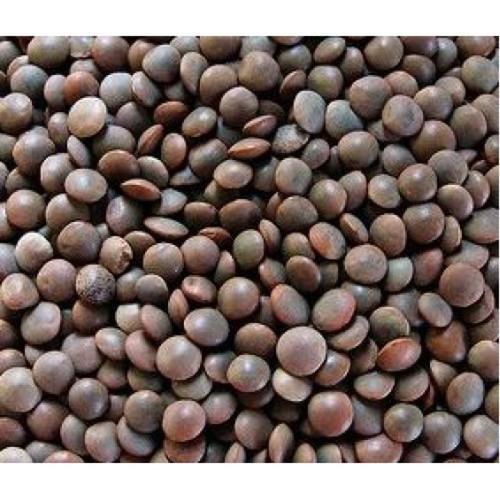 Healthy And Natural Organic Black Masoor Dal