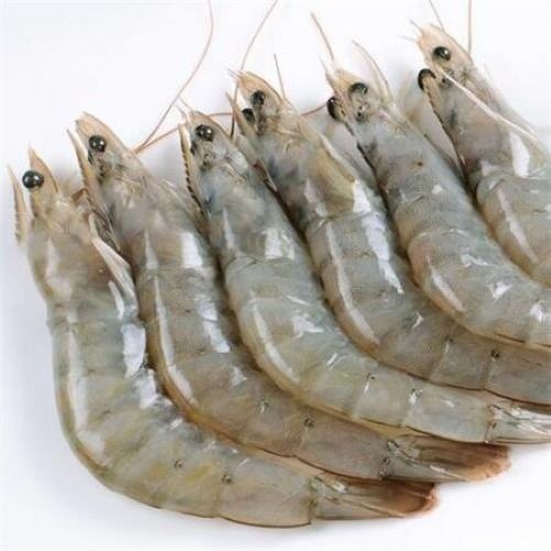 Iranian Frozen Vannamie Shrimp