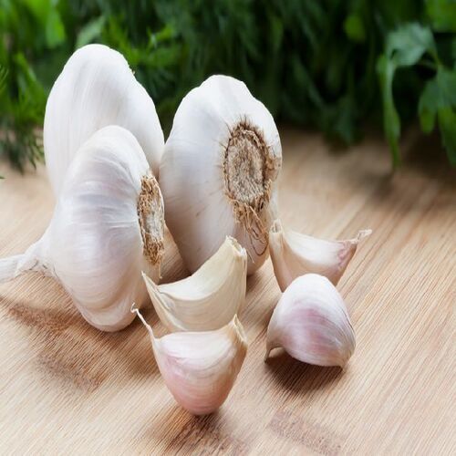 Healthy and Natural Fresh White Garlic