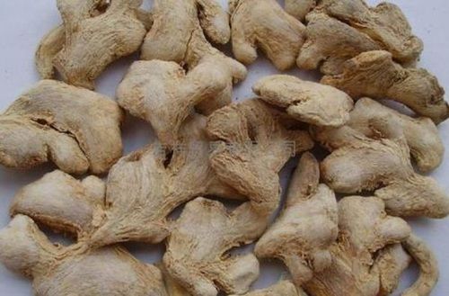 Brown Herbal Dried Ginger Adrak Extract Powder