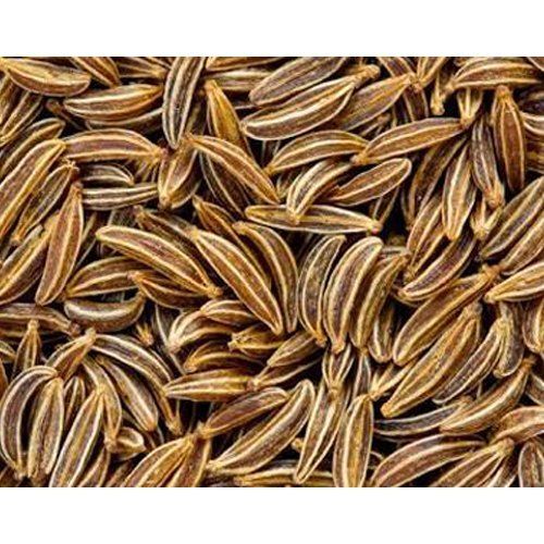 Natural And Organic Caraway Seeds