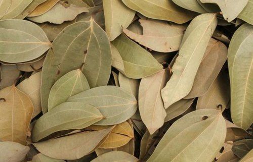 Pure Fresh Cassia Leaves, Tej Patta