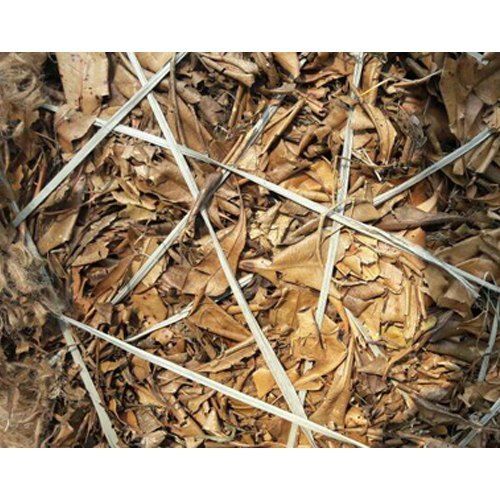Healthy and Natural Dry Clove Leaves
