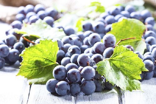Healthy and Natural Fresh Seedless Black Grapes