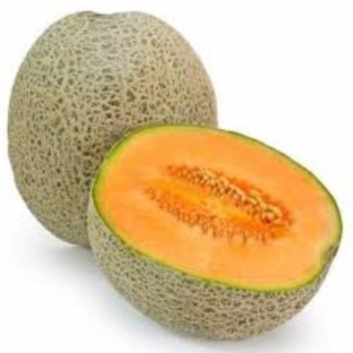 Healthy And Natural Organic Fresh Muskmelon Origin: India