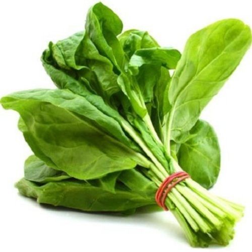 Healthy and Natural Fresh Green Spinach Leaves