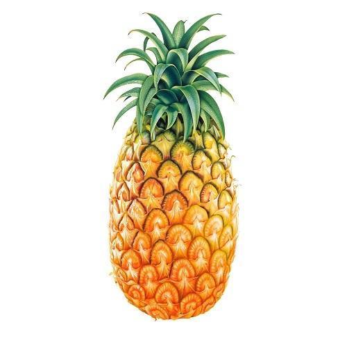 Healthy and Natural Fresh Pineapple