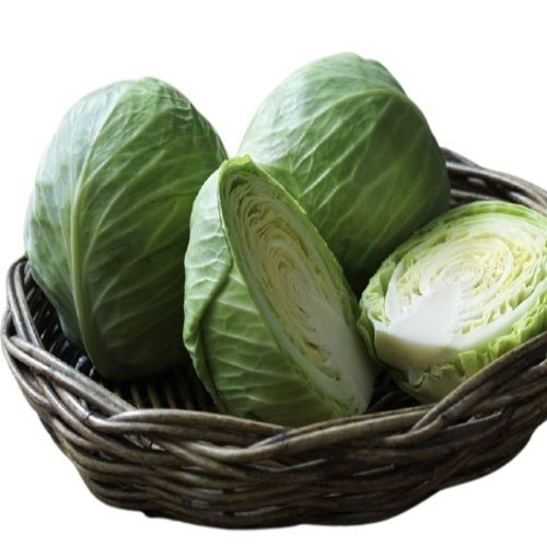 Round Healthy And Natural Organic Fresh Cabbage