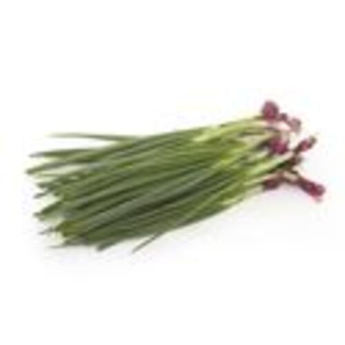 Healthy and Natural Organic Fresh Spring Onion